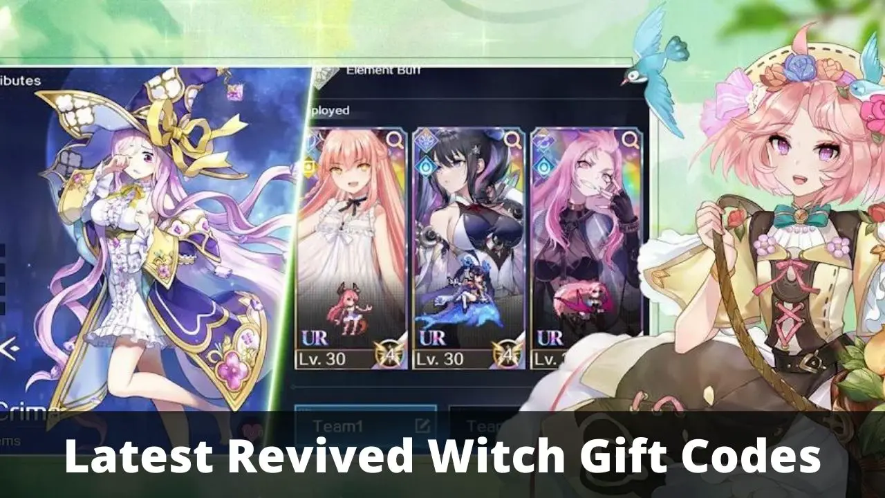 Revived Witch Gift Codes (April 2024) TECHFORNERD