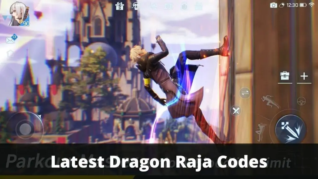 dragon raja codes