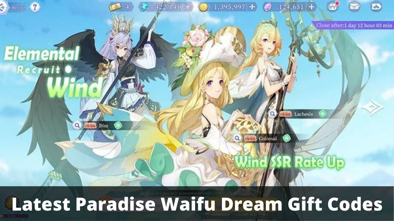 Paradise Waifu Dream Gift Codes (July 2026)