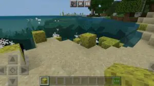 minecraft sponge