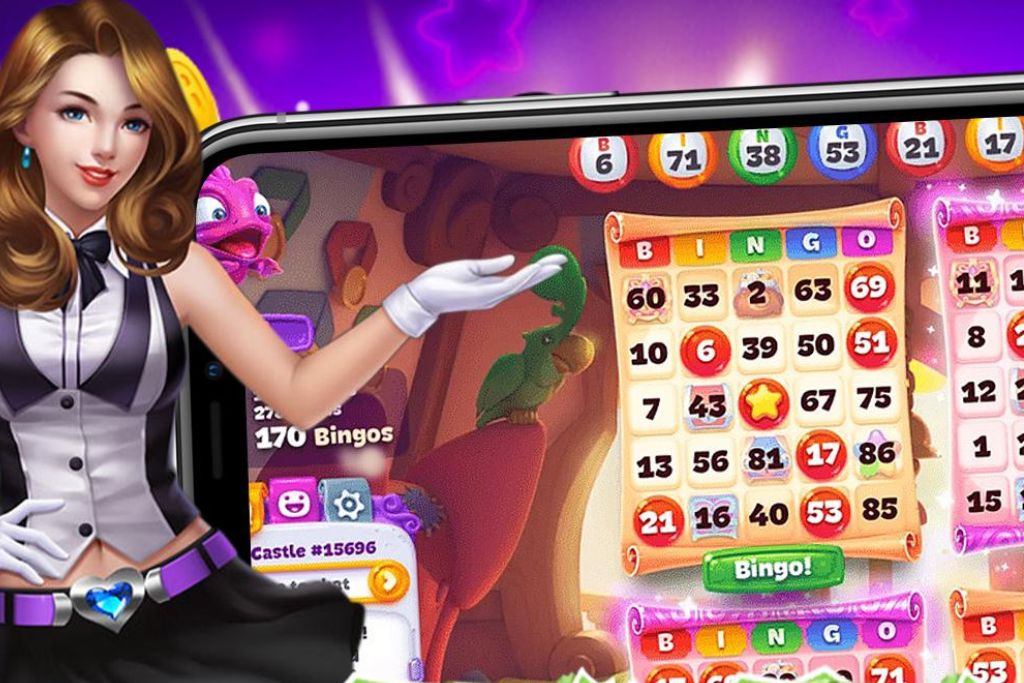 Bingo Tour Promo Codes (July 2026)