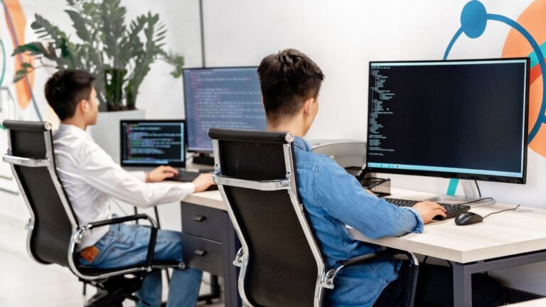 Information Technology Audit